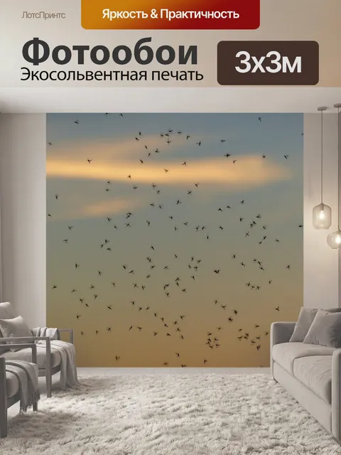 Фотообои Рой комаров