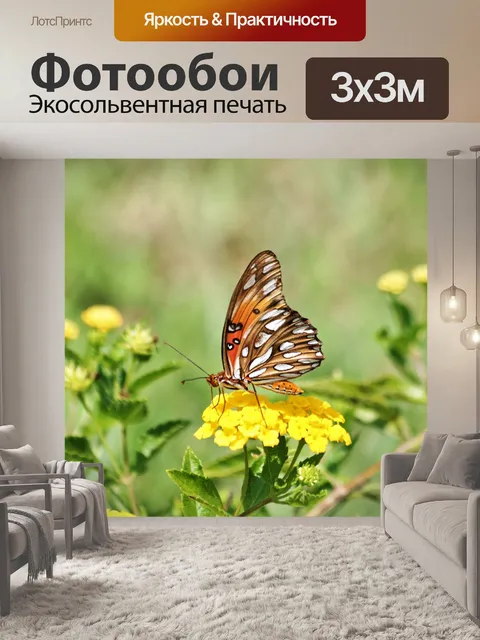 Фотообои Галф Фритиллярная Бабочка