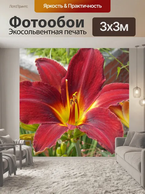 Фотообои Цветы