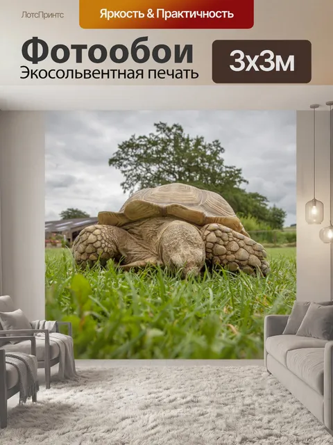 Фотообои Черепаха на траве