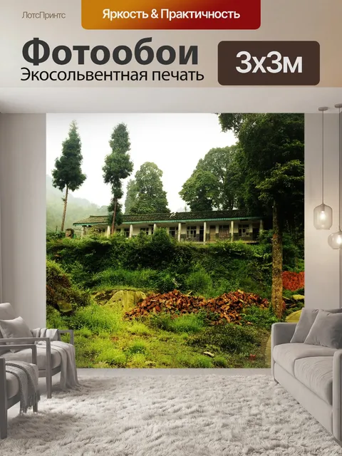 Фотообои Дом