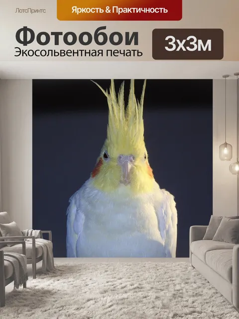 Фотообои Корелла