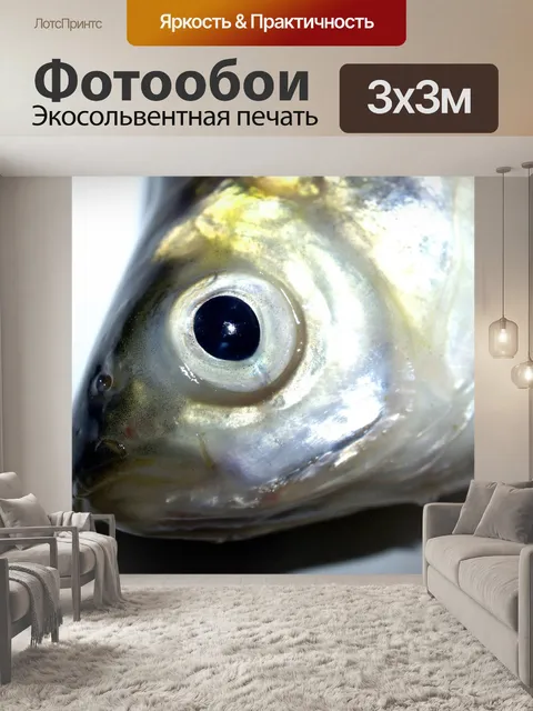 Фотообои Пресноводная рыба фото