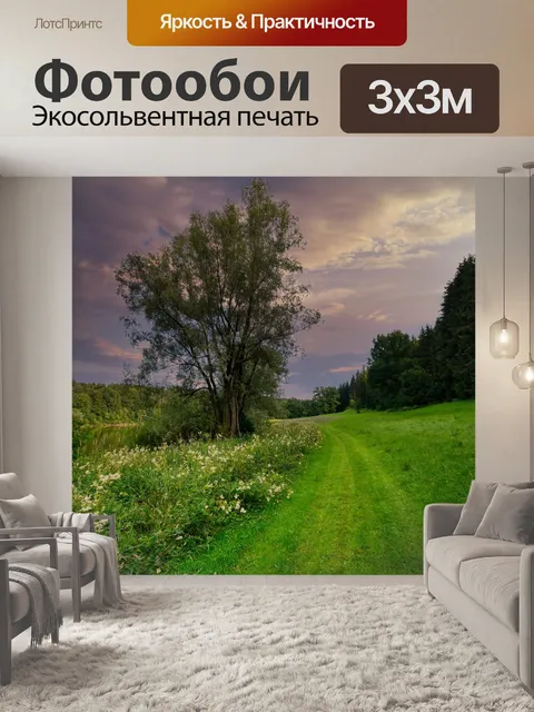 Фотообои Лес