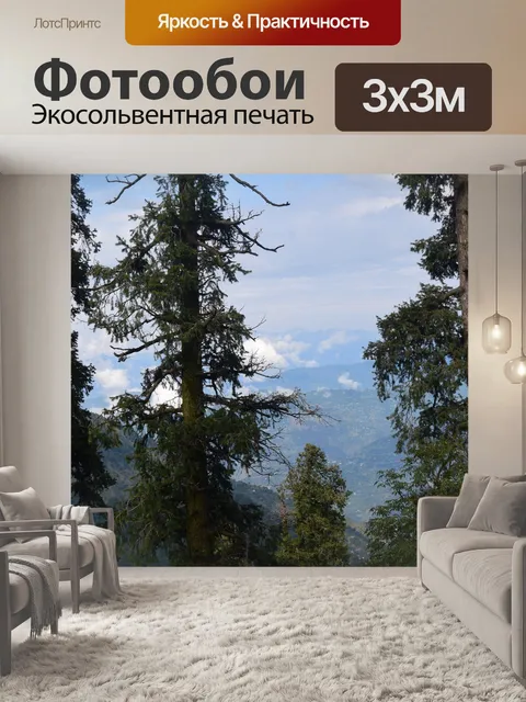 Фотообои Лес