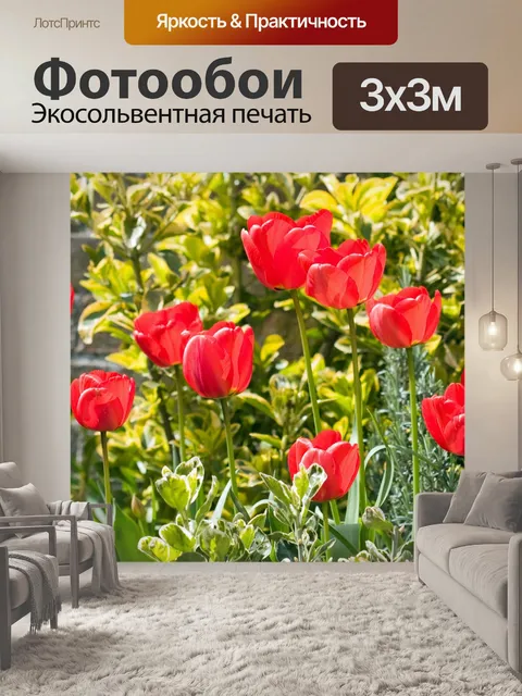 Фотообои Цветы