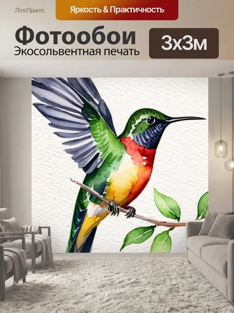 Фотообои птица колибри