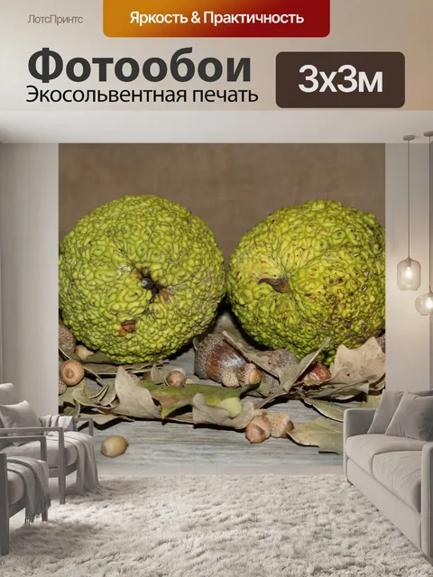 Фотообои Конские яблоки и желуди