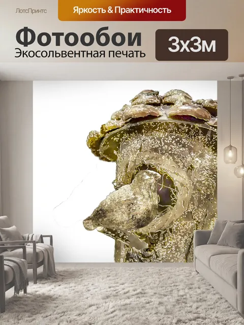 Фотообои Золотая птица и дом