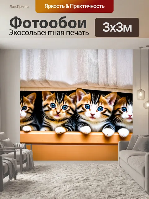 Фотообои котята, прячущиеся за занавеской, шпионят за хозяевами