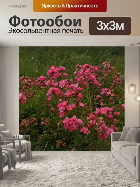 Фотообои Цветы