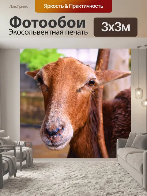 Фотообои Животные