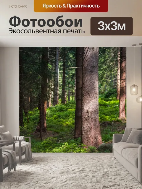 Фотообои Деревья
