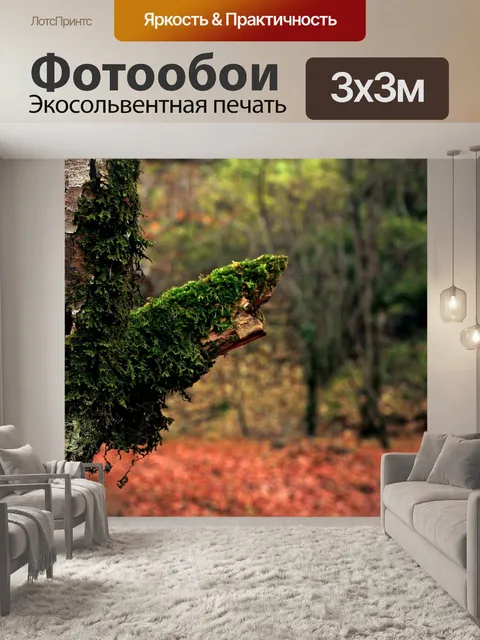 Фотообои Лес