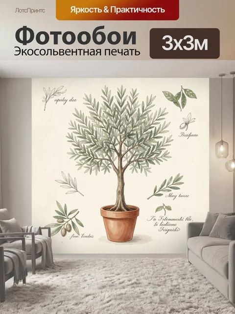 Фотообои Оливковое дерево в горшке