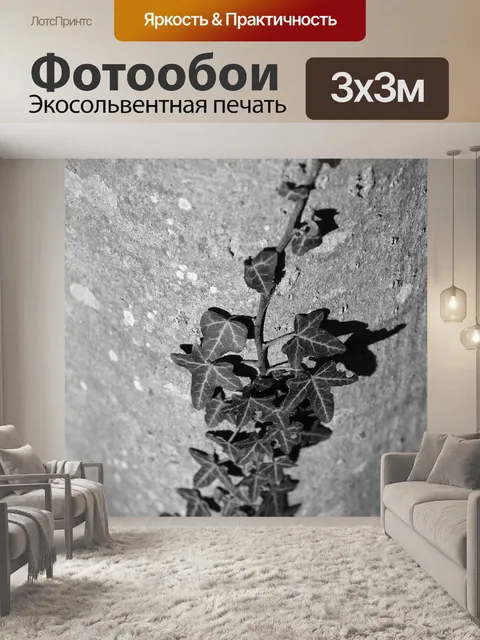 Фотообои Плющ