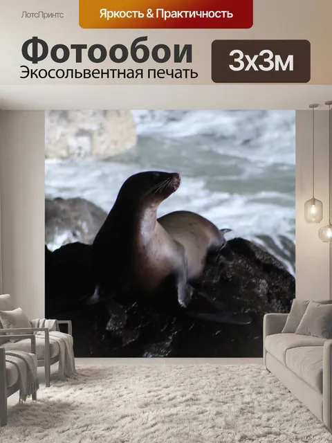 Фотообои Спящая красавица