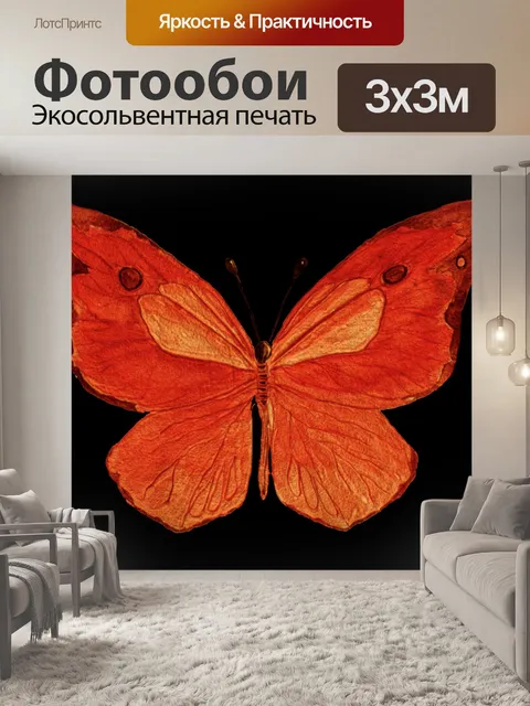 Фотообои Бабочка 101