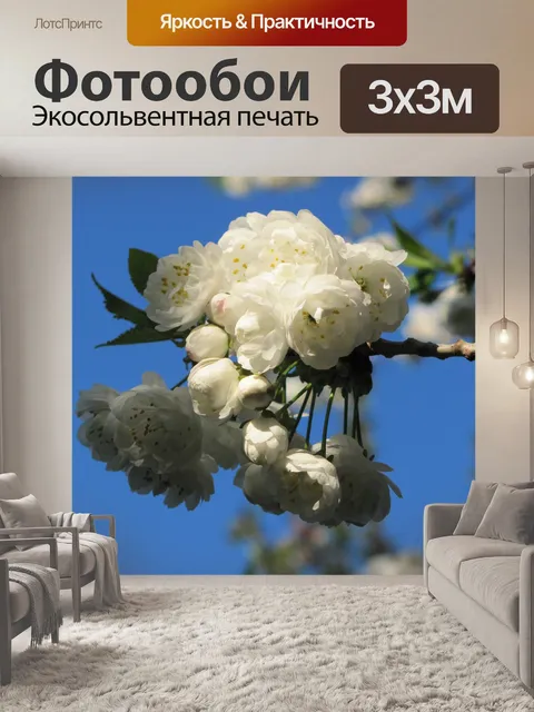 Фотообои Цвести