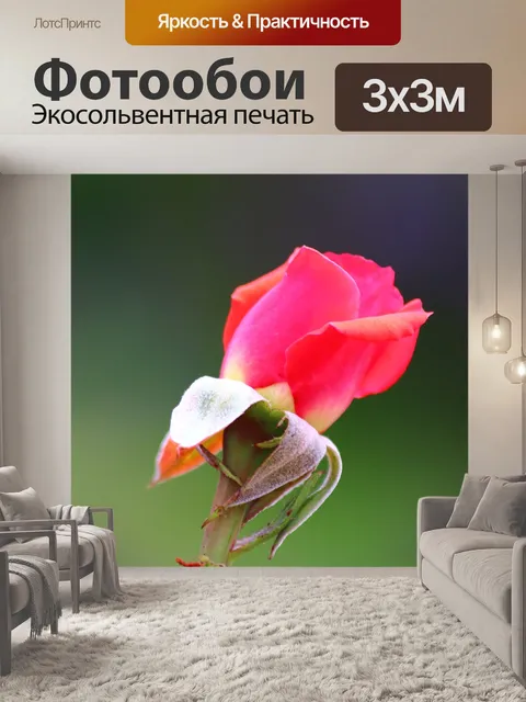 Фотообои Завод