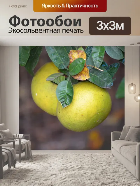 Фотообои Природа