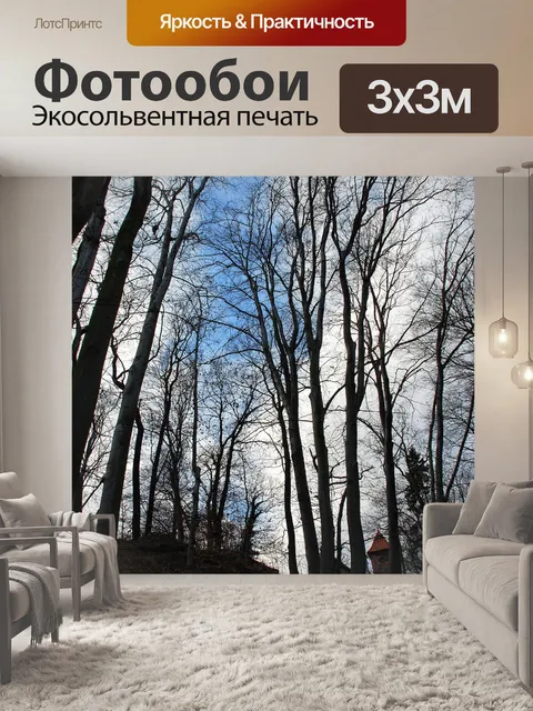 Фотообои Деревья