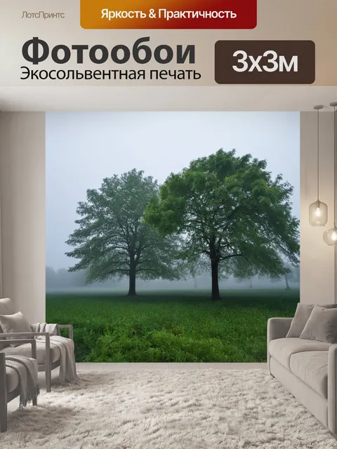 Фотообои деревья в туманном утре