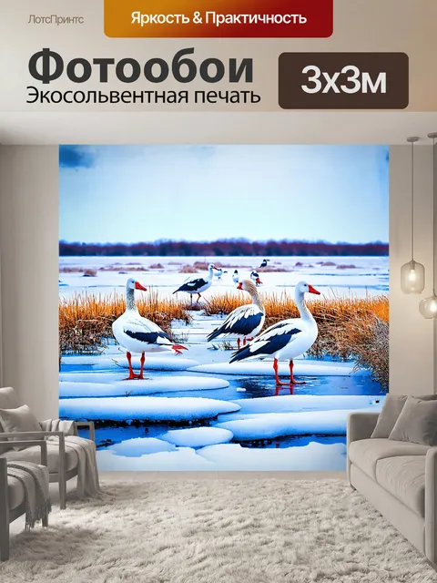 Фотообои группа болотных птиц и больших снежных гусей на замерзшем болоте