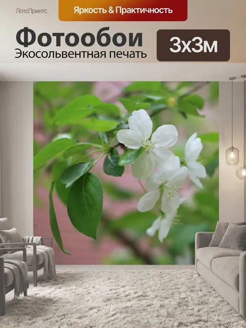 Фотообои Цветы