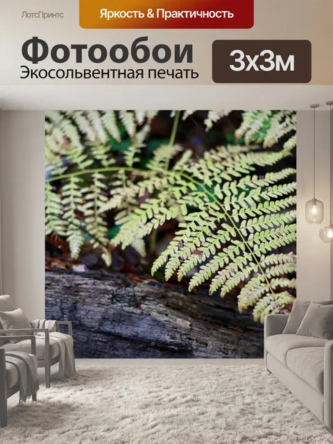 Фотообои Папоротник