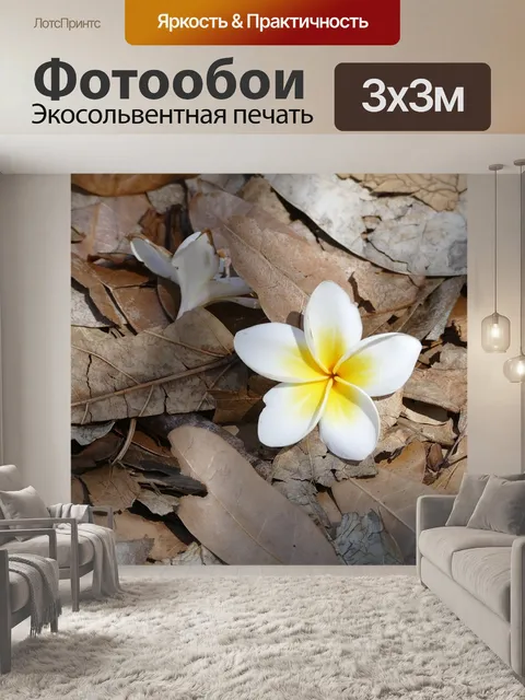 Фотообои Маврикий