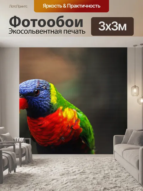 Фотообои близкий вид синеголового лорикета