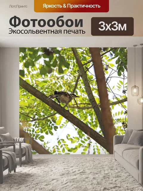 Фотообои Тропический