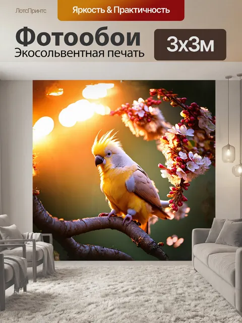 Фотообои корелла, утопающая в лучах заката, сидит на ветке дерева, окружённого распускающимися цветами