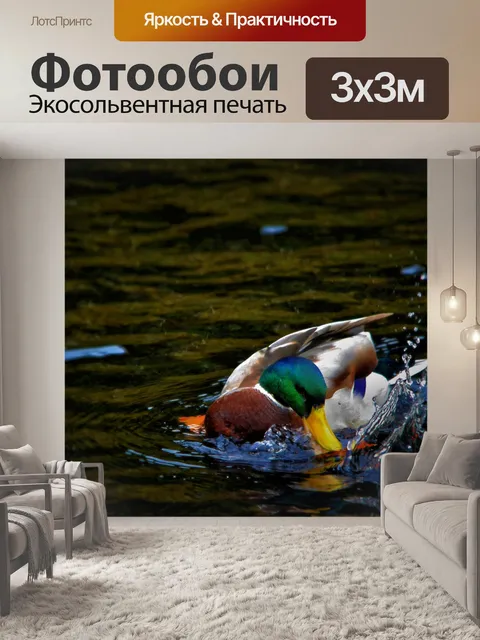 Фотообои Дак Всплеск