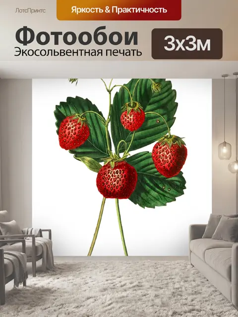 Фотообои Клубника фрукты старинное искусство