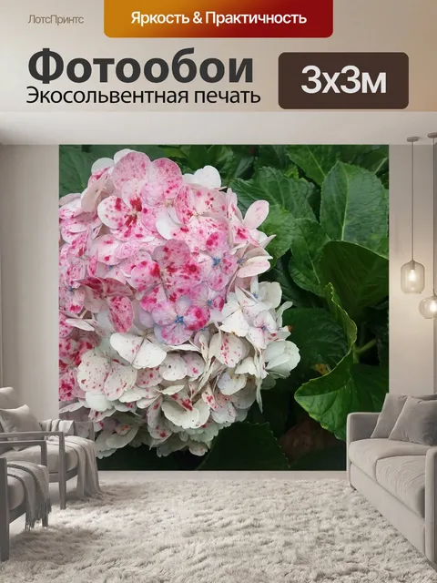 Фотообои Цветы