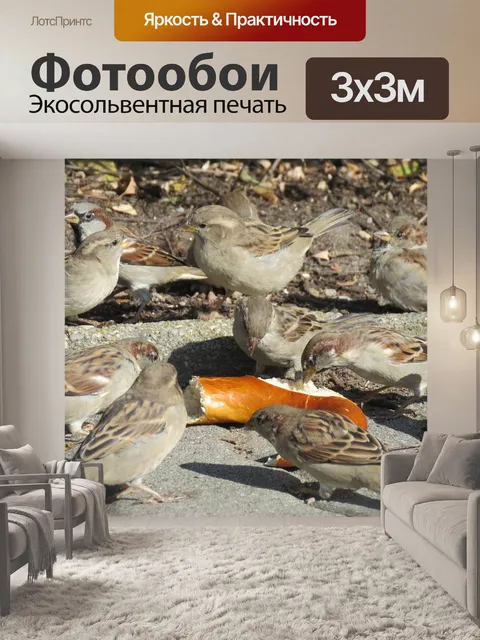 Фотообои Воробьи