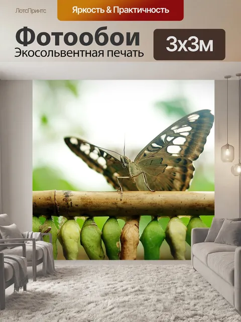 Фотообои Бабочка куклы