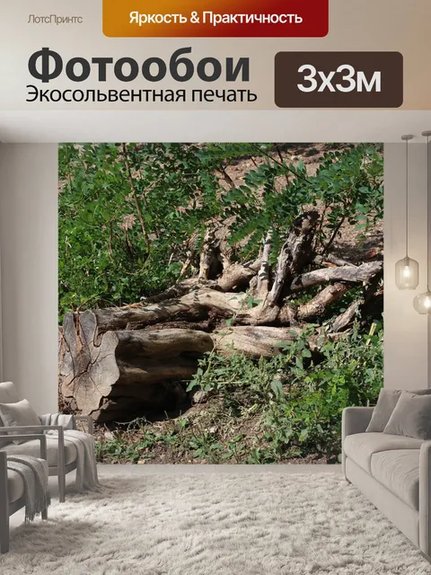 Фотообои Дерево