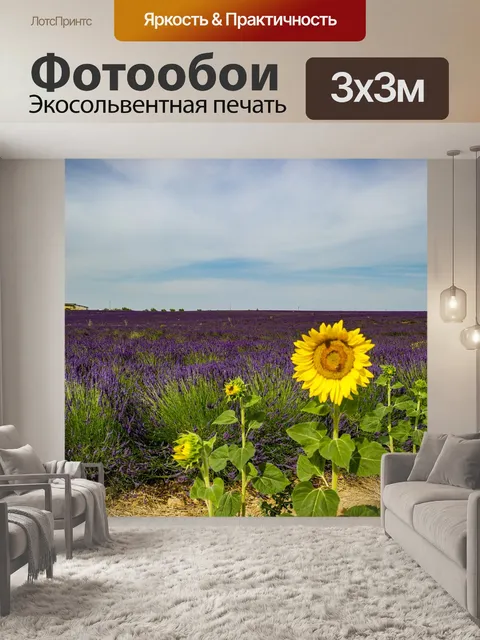 Фотообои Подсолнечник