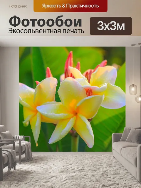 Фотообои Цветок