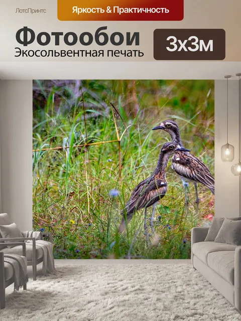 Фотообои Птицы