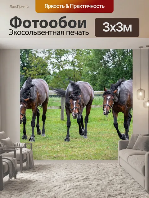 Фотообои Лошадь