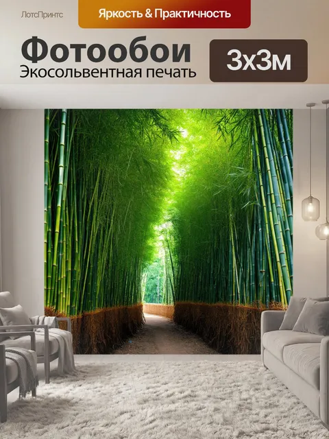 Фотообои китай: бамбуковый лес