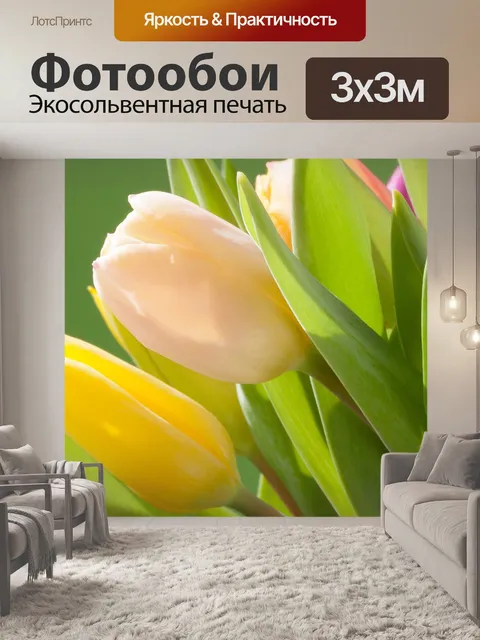 Фотообои Тюльпаны