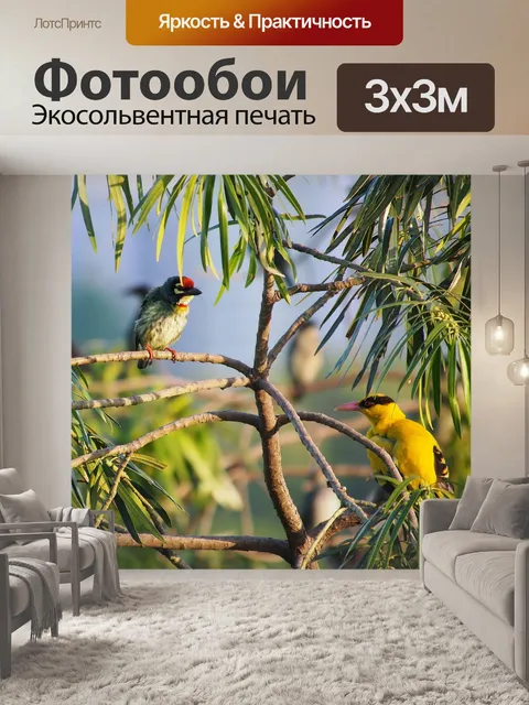 Фотообои Птицы сидели