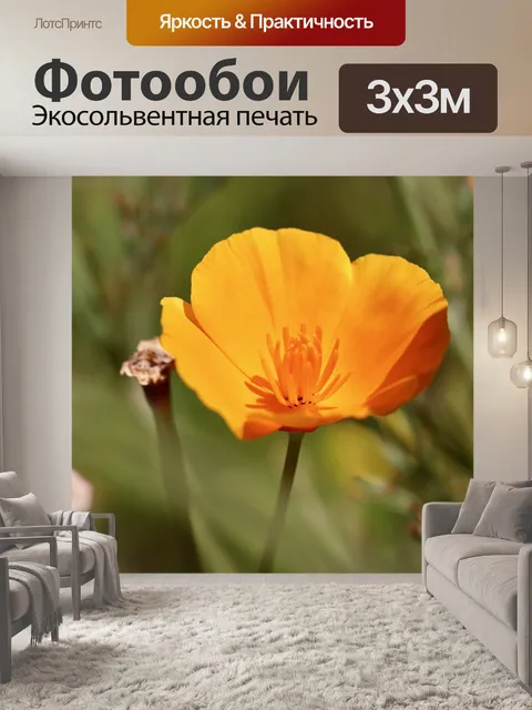 Фотообои Золотой мак