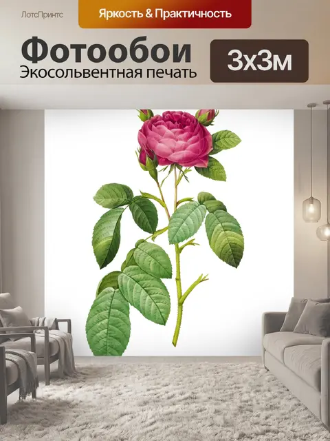 Фотообои Роза цветок старинная картина