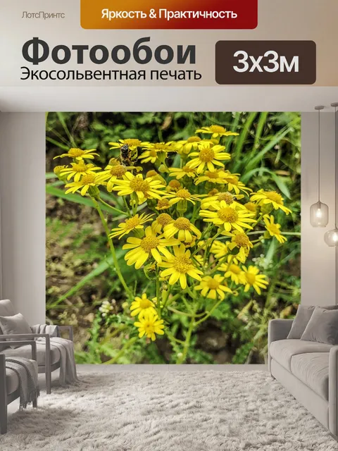 Фотообои Цветок
